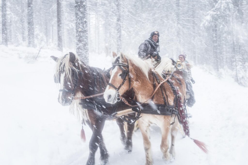 Foto von Kutscher mit Pferden im Schnee